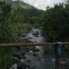 duwi, 38 years oldKingston, Jamaica