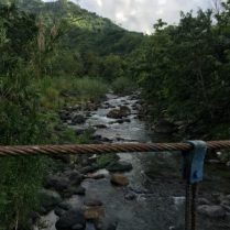 duwi, 38 years oldKingston, Jamaica