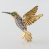 Hummingbird, 45 years oldKingston, Jamaica